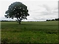 Arable land close to Gubeon Farm in NE61 3FR