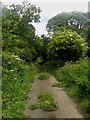 Public bridleway towards Stannington in NE61 6BY