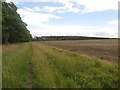 Field edge bridleway in NE61 6BY
