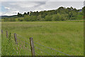 Field in Strath Nairn near Tordarroch in IV2 6XF