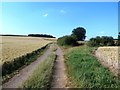 Track and Bridleway near Lindrick Hill Farm in S81 8RQ