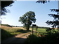 Bridleway Junction in Dewidales Wood in S25 4DF