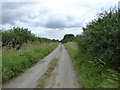 Quiet lane to Siddington in Siddington