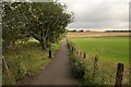 Footpath beside Lenzie Golf Course in G66 5HP