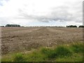 Fallow arable field at North Saltwick in NE61 6BY