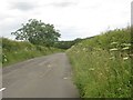 Country road south of Tranwell in NE61 6PG
