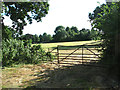 Gate into pasture beside Beeston Lane in NR13 6NB