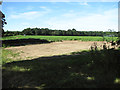 Crop field west of Quaker Farm in NR10 3PN
