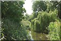 Channel of the Avon near Burgate in SP6 1LX