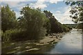 River Avon near Burgate in SP6 1LX