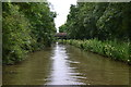 Looking back at Oxford Canal bridge No 7 in CV2 1PA