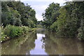 Oxford Canal north of Whiting's Bridge in CV2 1NW