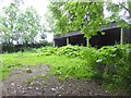 Shed beside the Skelton to Unthank Community Path in CA11 9TE