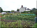 Allotments, Ellistown in LE67 1EW