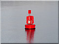 Marker Buoy "Test" in Southampton  Water in SO45 6AT