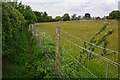 Topsham : Grassy Field & Path in EX3 0FY