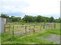 Livestock pen at Laithes in CA11 0AW