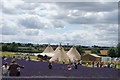 View of wigwams containing the food and drink area in Hitchin Lavender in SG5 3TR