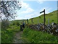 Public footpath to Brassington in Carsington