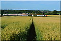 Field path and passing train in CV9 2EX