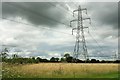 Pylon line, Woodgreen in SP6 2AG