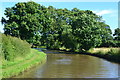 Coventry Canal near Bradley Green Bridge in CV9 3DN