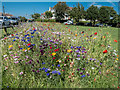 Wild Flowers on the Green, Sea Road, East Preston, West Sussex in BN16 1QP