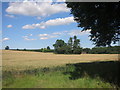 Farmland near Kintbury in RG17 9AE