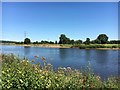 The River Trent at Stoke Bardolph in Trent Valley Ward