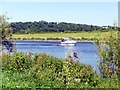 Cruising the River Trent at Stoke Lane in Trent Valley Ward