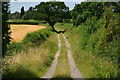 Track leading west from Drayton Brick Bridge in B78 3UH