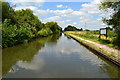 Coventry Canal below Common Lock in B76 0EA