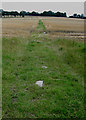 A section of Weaver's Way crossing a stubble field in NR11 8RR