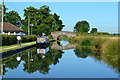 Birmingham and Fazeley Canal at Wiggins Hill Bridge in B76 9DJ