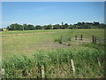 View from a Norwich-Great Yarmouth train - pasture and gate near Barn End in NR13 3SB