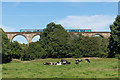 Class 150s on Cefn Viaduct in LL14 3JQ