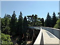 The Treetop Walkway at the National Arboretum, Westonbirt in GL8 8QS