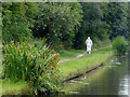 Trent and Mersey Canal near Horninglow in Staffordshire in DE13 0WJ