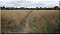 Footpath across farmland near Groby in LE6 0YN