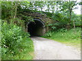 Tunnel under the railway at Chinley in SK23 6DN