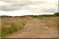 Unmarked track by Kindrummond farm in IV2 6TU