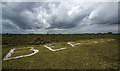 East Boldre airfield and the 'Beaulieu' letters (2) in SO42 7WD