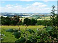 View over the Wye valley in HR9 5SD