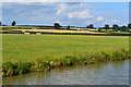 Farmland beside the Oxford Canal in CV23 8BJ