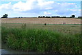 Fields beside Oxford Canal at Normandy Farm in CV23 1BX