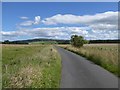 Country road from Bolton to Abberwick in NE66 2EH
