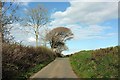 Lane to Killatree Cross in EX22 6JJ