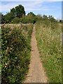 Footpath from Lower Pennington Lane to Lower Woodside in SO41 8AG