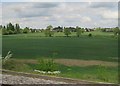 View from a Rugby-Crewe train - fields near Bulkington in CV12 9NB