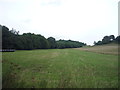 Field beside Leashaw Wood in DE4 5HD
